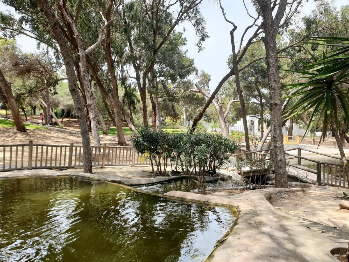 Apartamento Parque Sur Guardamar del Segura Kültér fotó